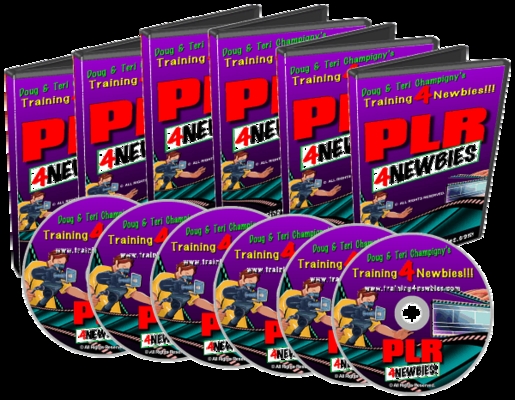Product picture PLR 4 Newbies-Videos (step by step)